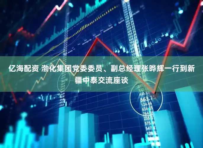 亿海配资 渤化集团党委委员、副总经理张晔辉一行到新疆中泰交流座谈